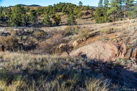 0 Macdonnell Drive Cotopaxi CO 81223