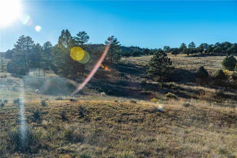 0 Macdonnell Drive Cotopaxi CO 81223