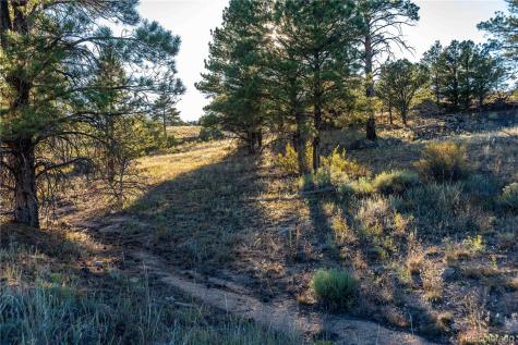 0 Macdonnell Drive Cotopaxi CO 81223