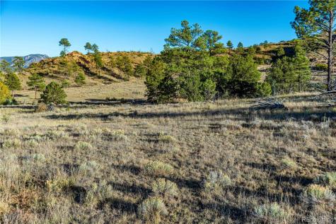 0 Macdonnell Drive Cotopaxi CO 81223