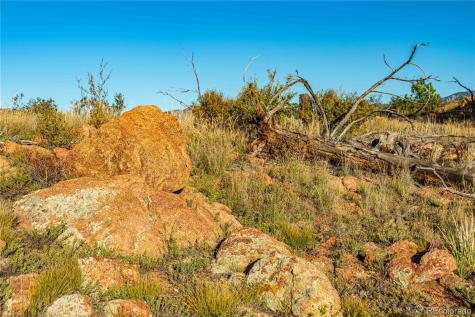 0 Macdonnell Drive Cotopaxi CO 81223