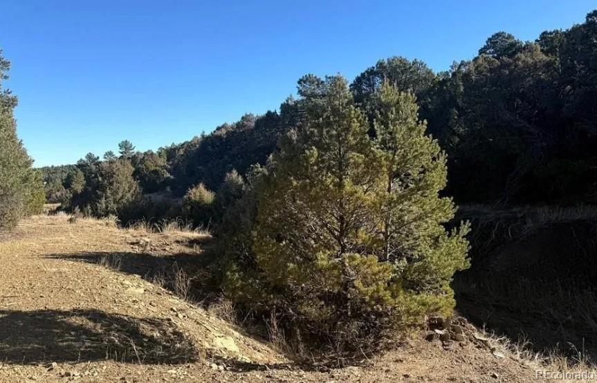 8100 La Belle Trail Trinidad CO 81082