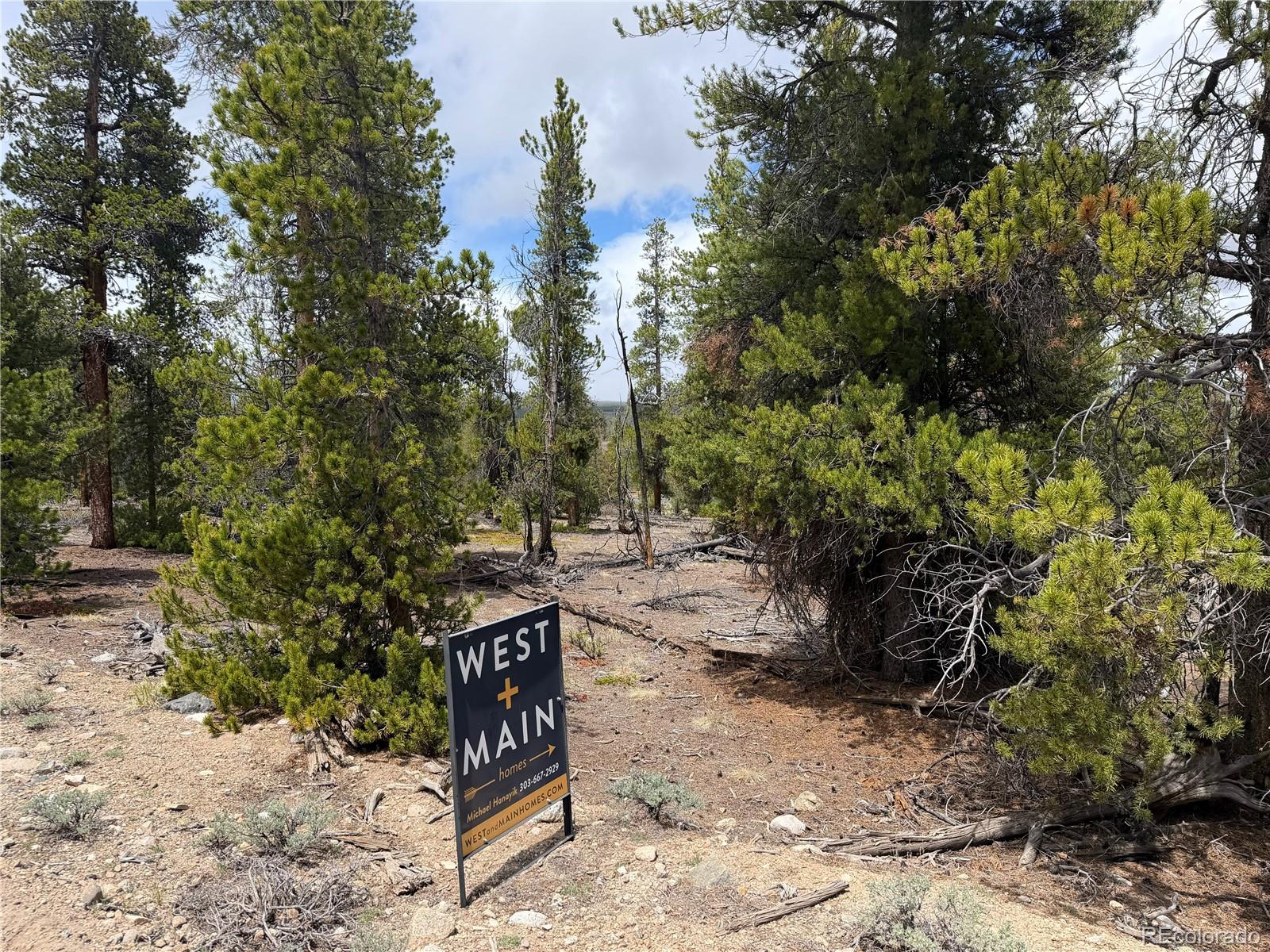 341 Lodgepole Drive Leadville CO 80461