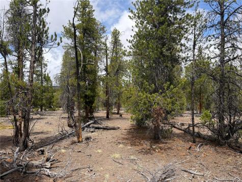 341 Lodgepole Drive Leadville CO 80461