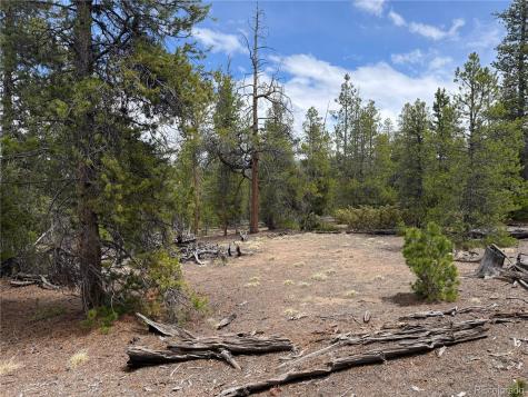 341 Lodgepole Drive Leadville CO 80461
