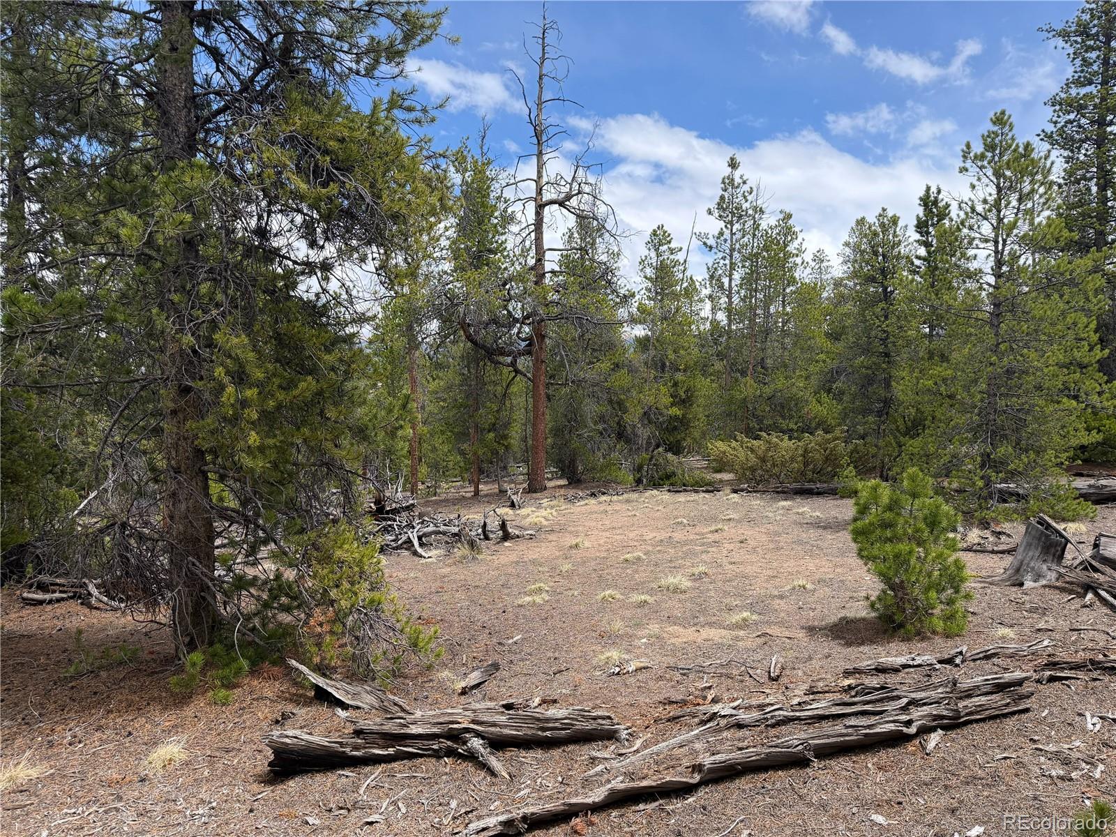 341 Lodgepole Drive Leadville CO 80461