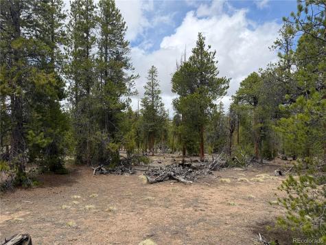 341 Lodgepole Drive Leadville CO 80461