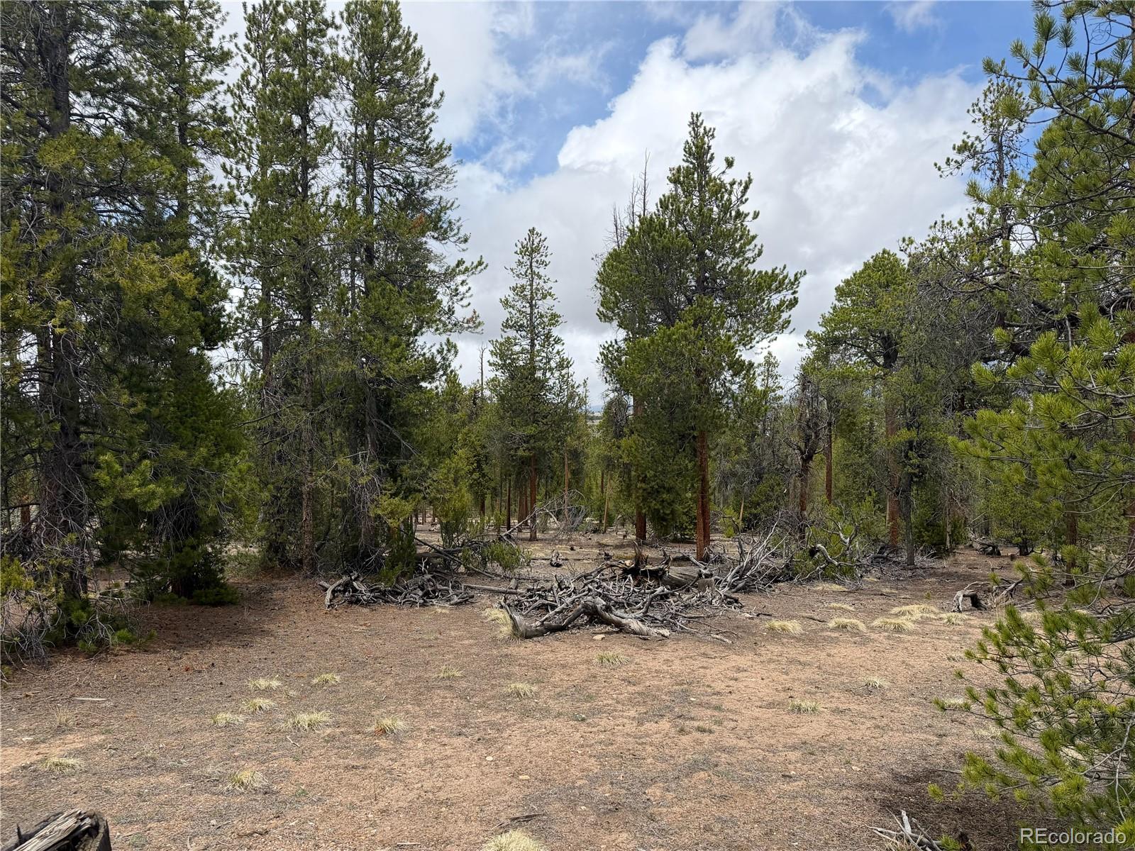 341 Lodgepole Drive Leadville CO 80461
