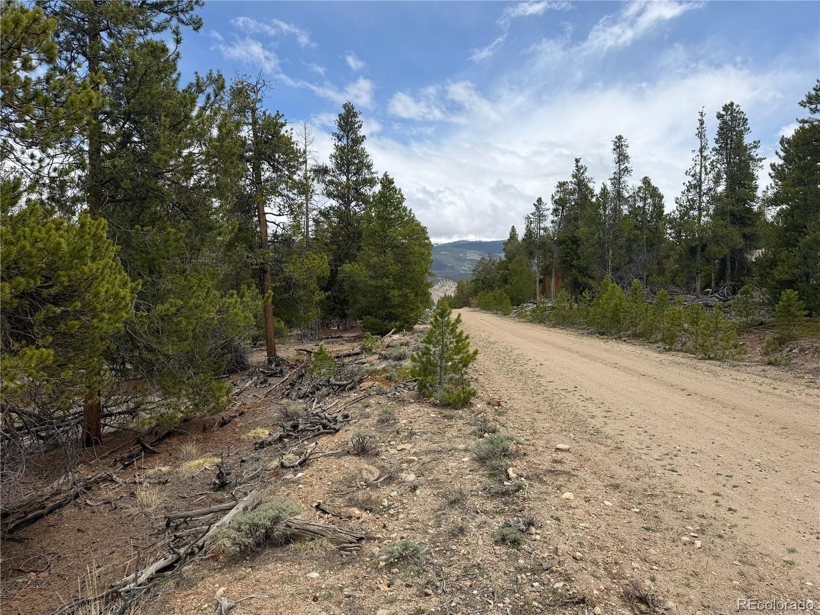 341 Lodgepole Drive Leadville CO 80461