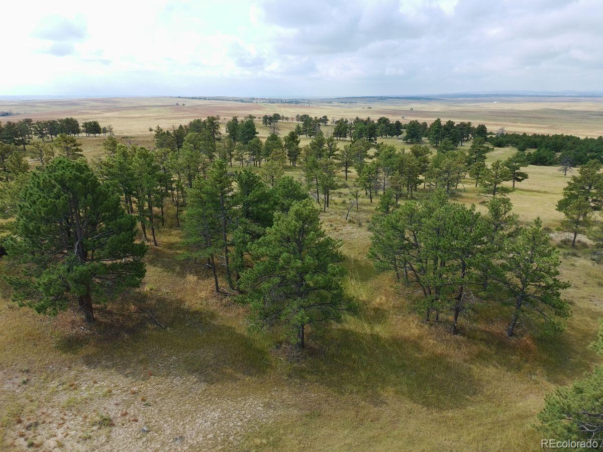 0001 County Road 93 Calhan CO 80808