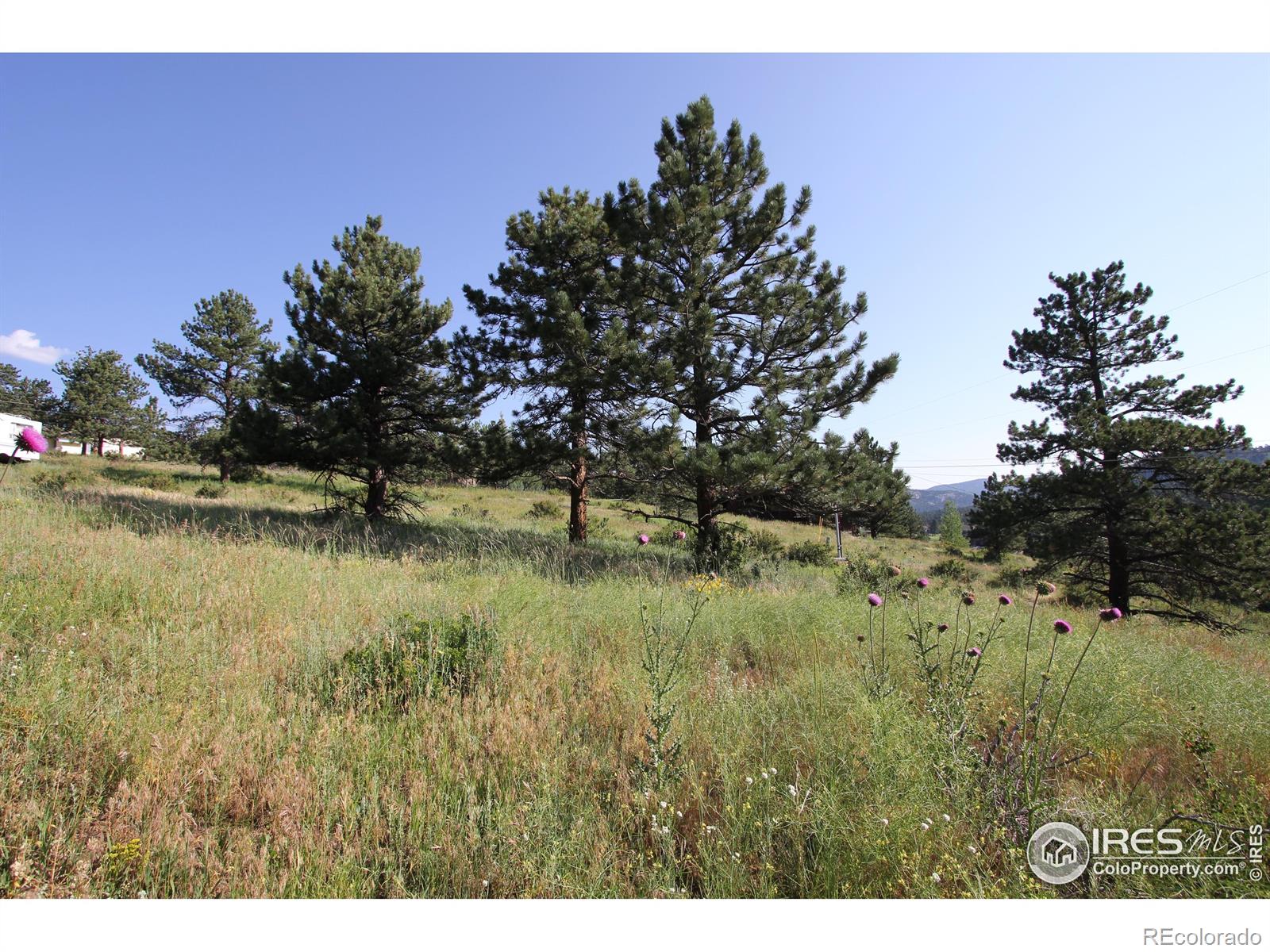 0 Clover Lane Estes Park CO 80517