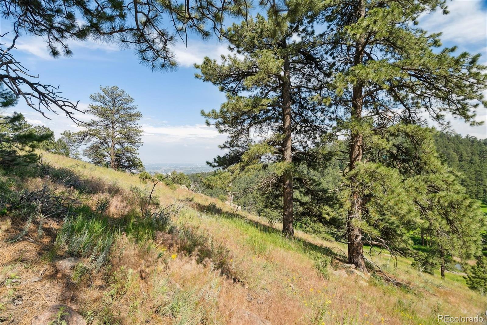 000 Parkview Avenue Golden CO 80401