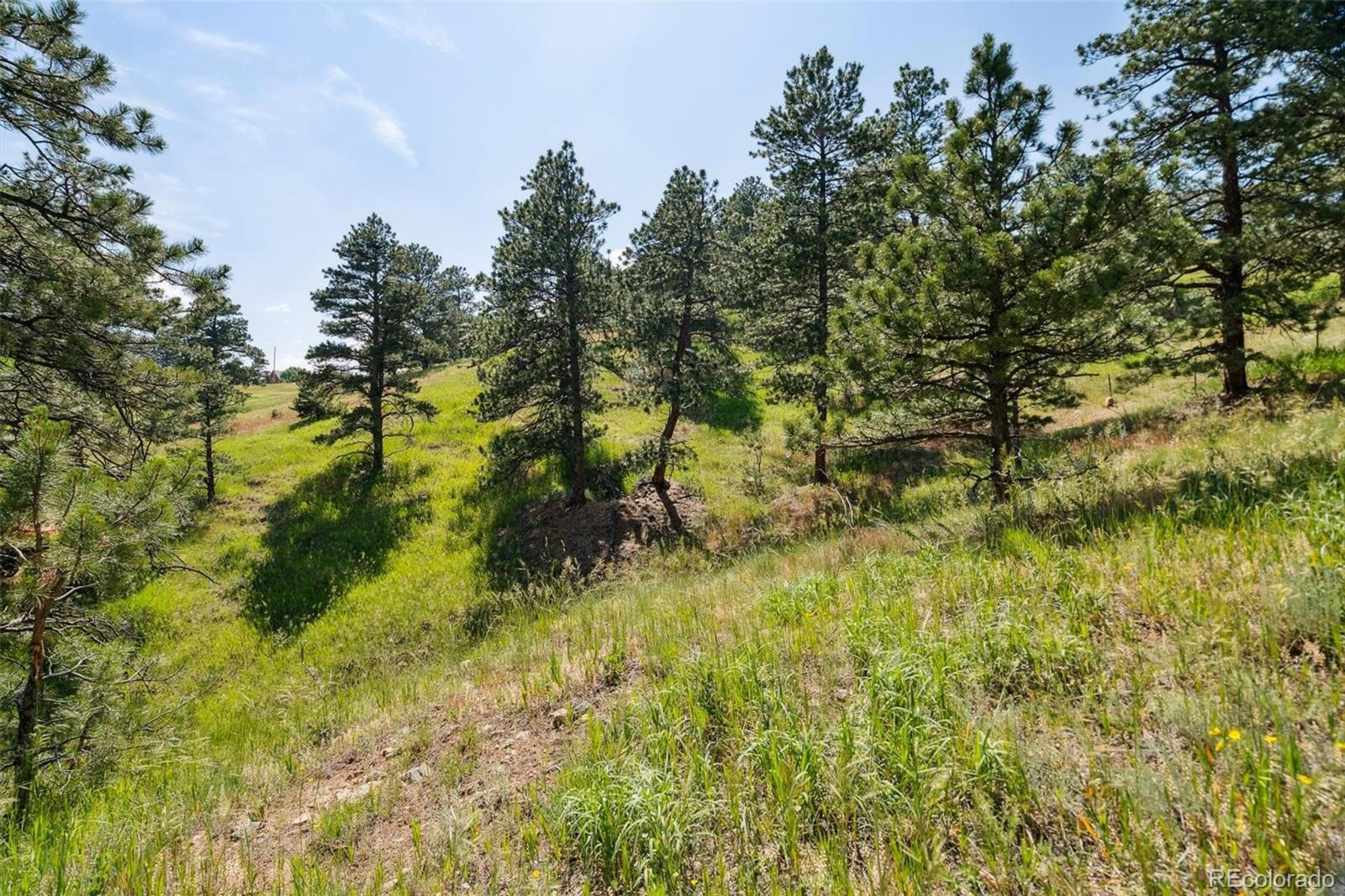 000 Parkview Avenue Golden CO 80401