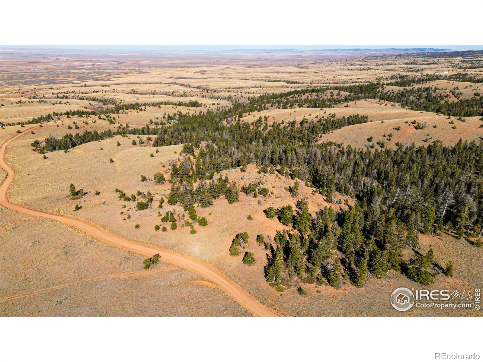 0 Wilderness Ranch Road Red Feather Lakes CO 80545