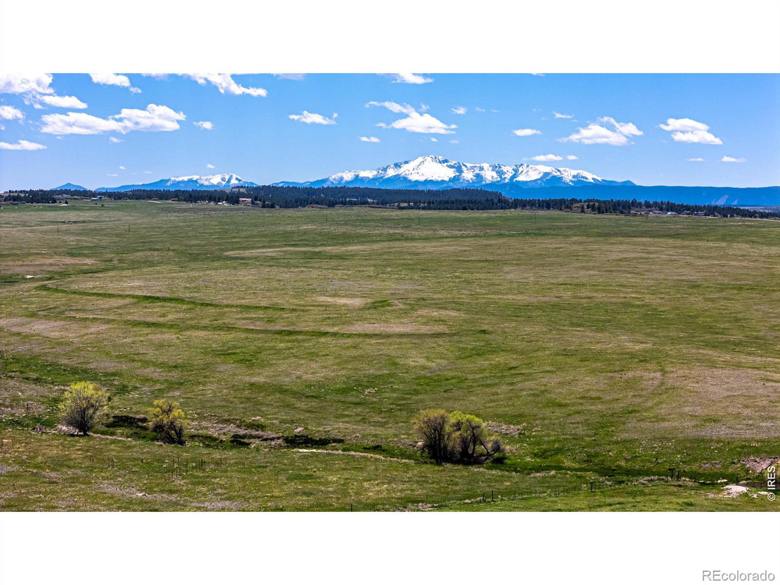 0 S Highway 83 Highway Franktown CO 80116