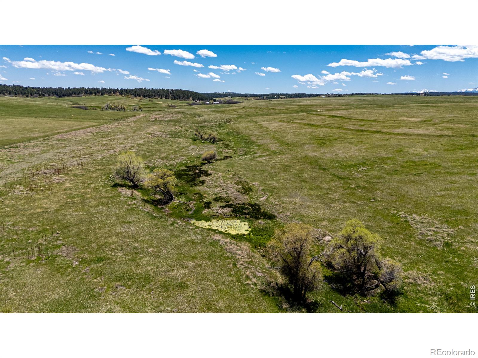 0 S Highway 83 Highway Franktown CO 80116