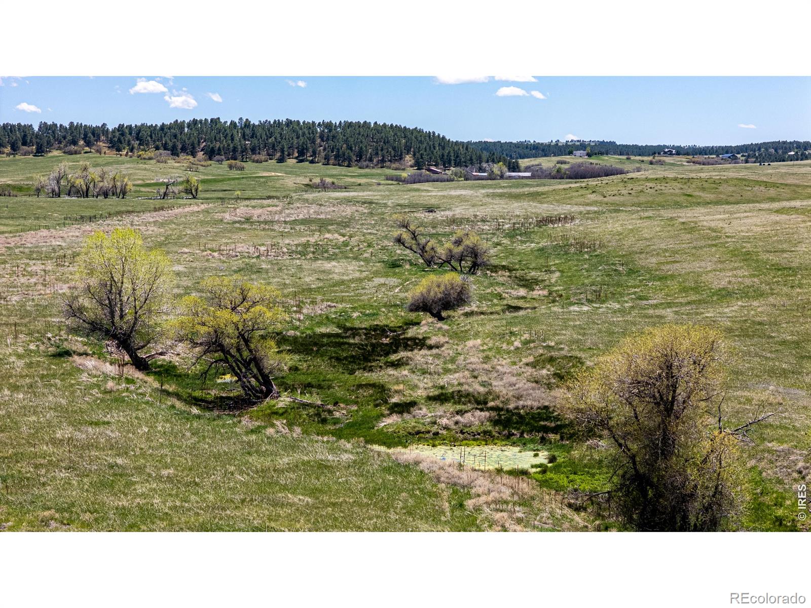 0 S Highway 83 Highway Franktown CO 80116
