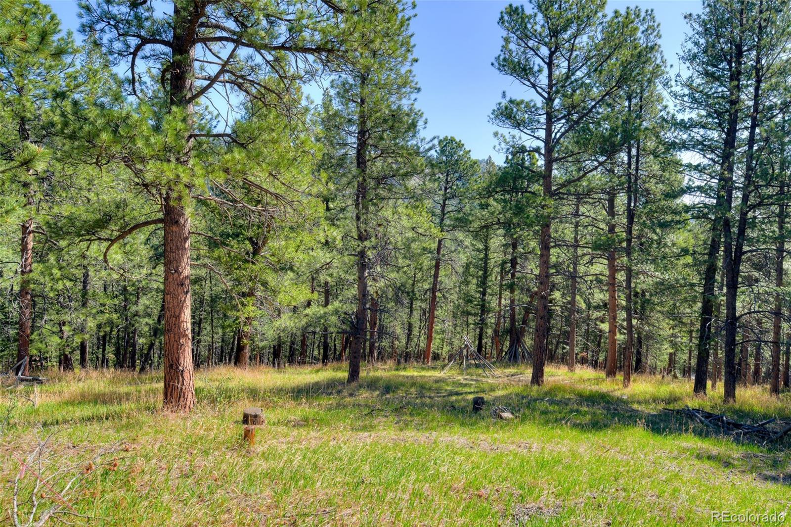 281 Kings Evergreen CO 80439