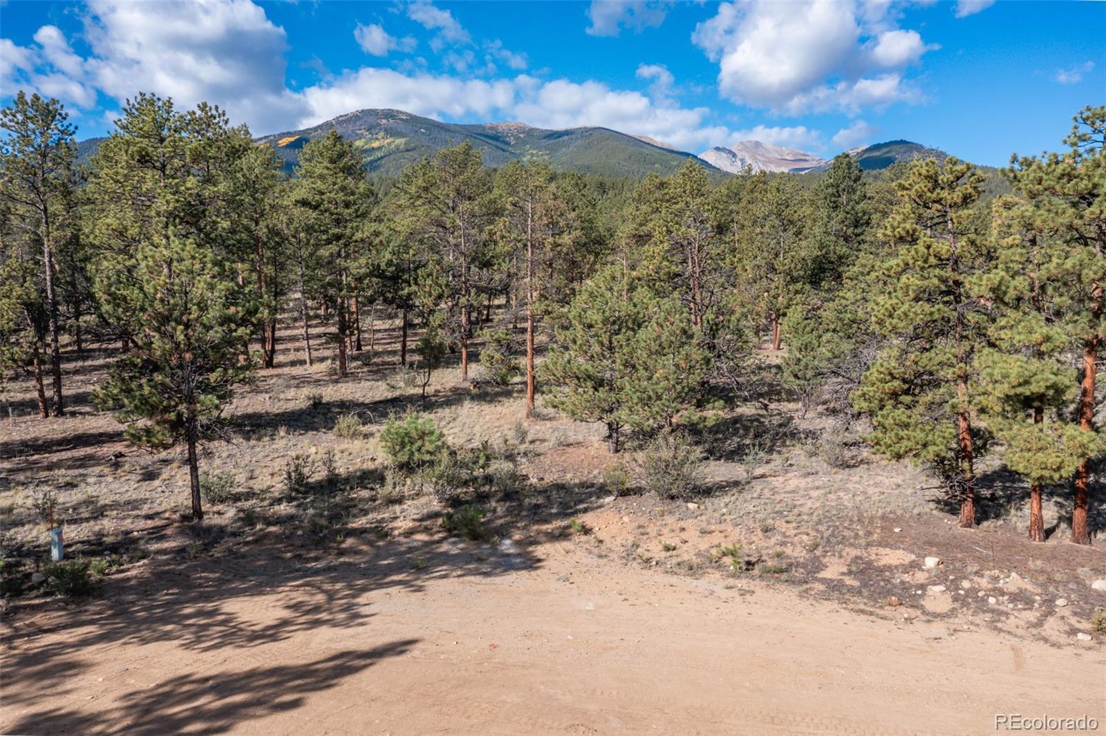 30664 Gray Jay Draw Buena Vista CO 81211