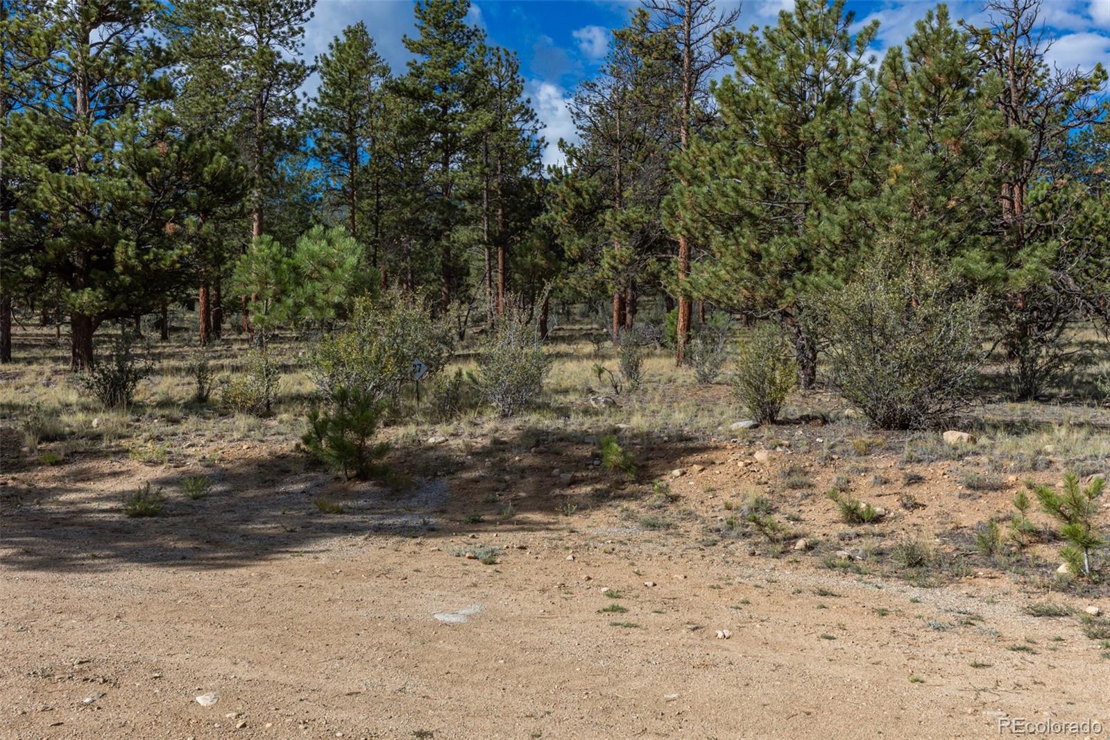 30664 Gray Jay Draw Buena Vista CO 81211