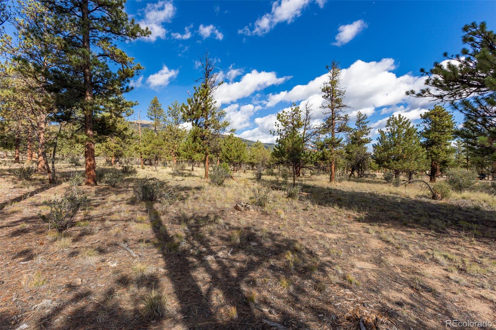 30664 Gray Jay Draw Buena Vista CO 81211