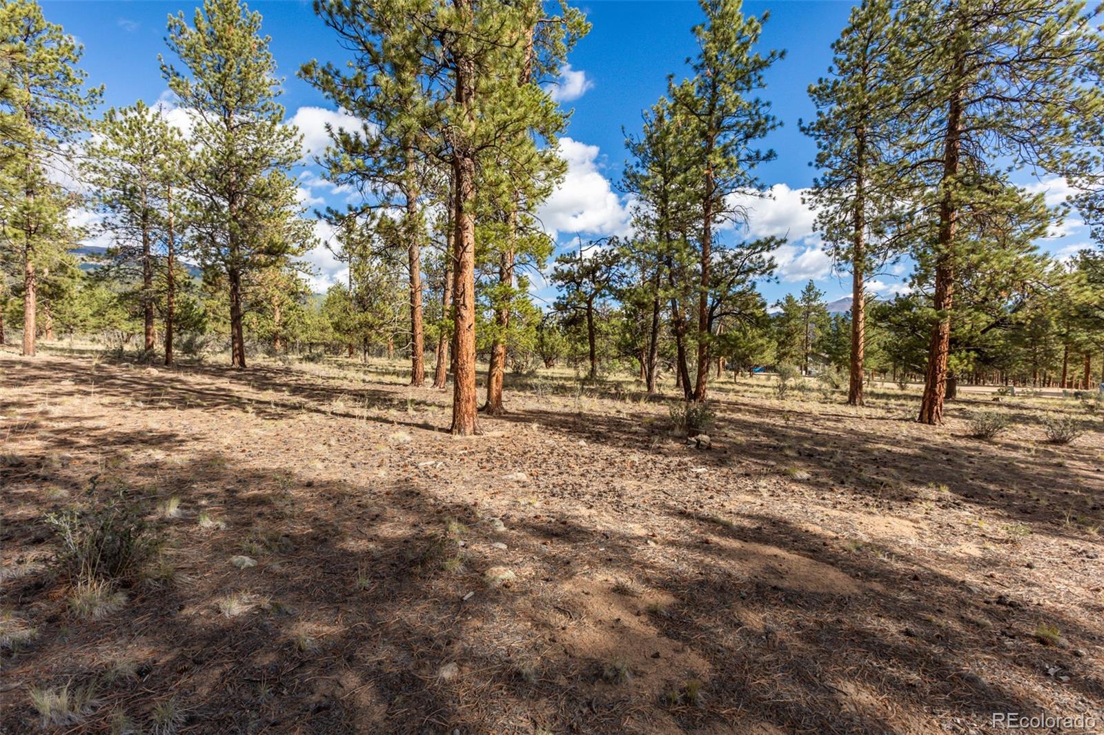 30664 Gray Jay Draw Buena Vista CO 81211