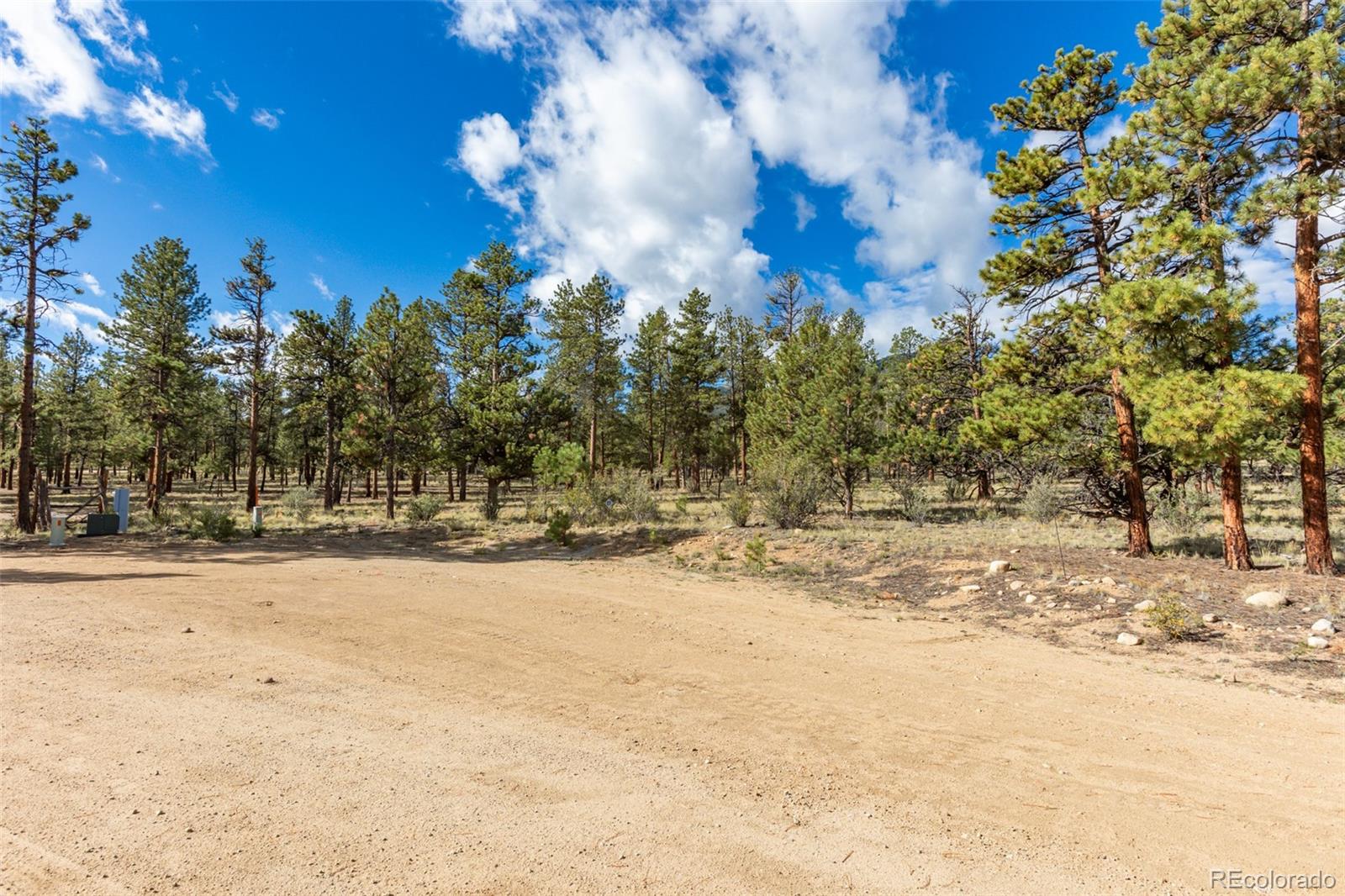 30664 Gray Jay Draw Buena Vista CO 81211