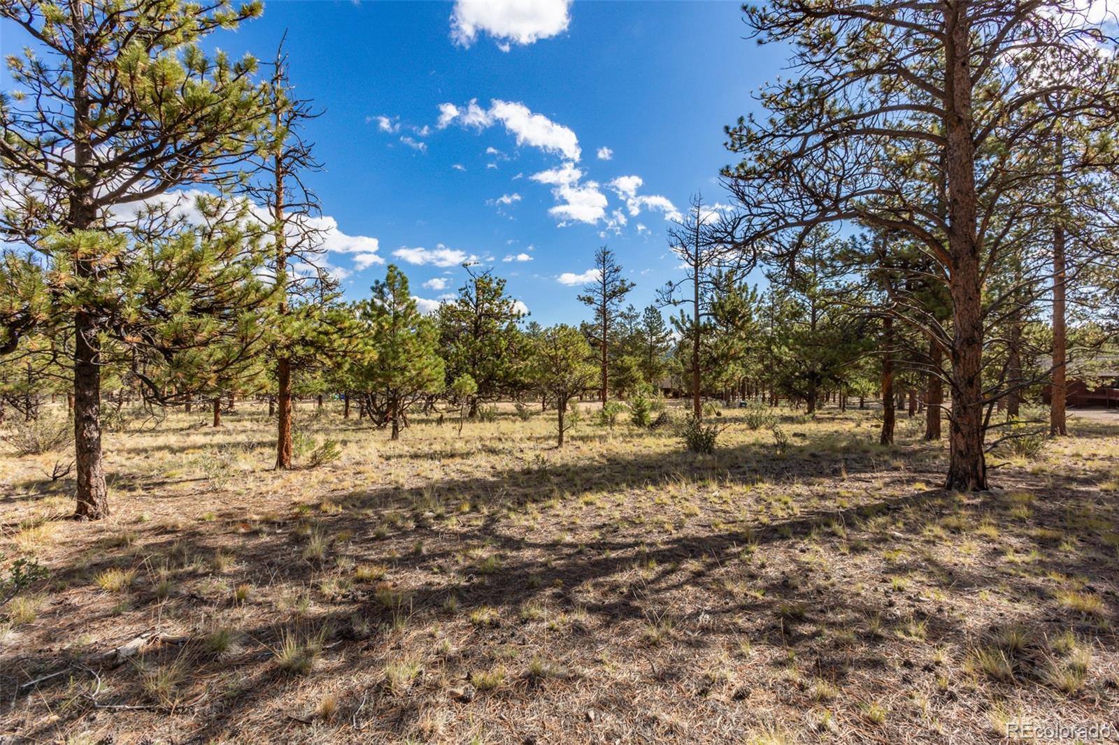 30664 Gray Jay Draw Buena Vista CO 81211