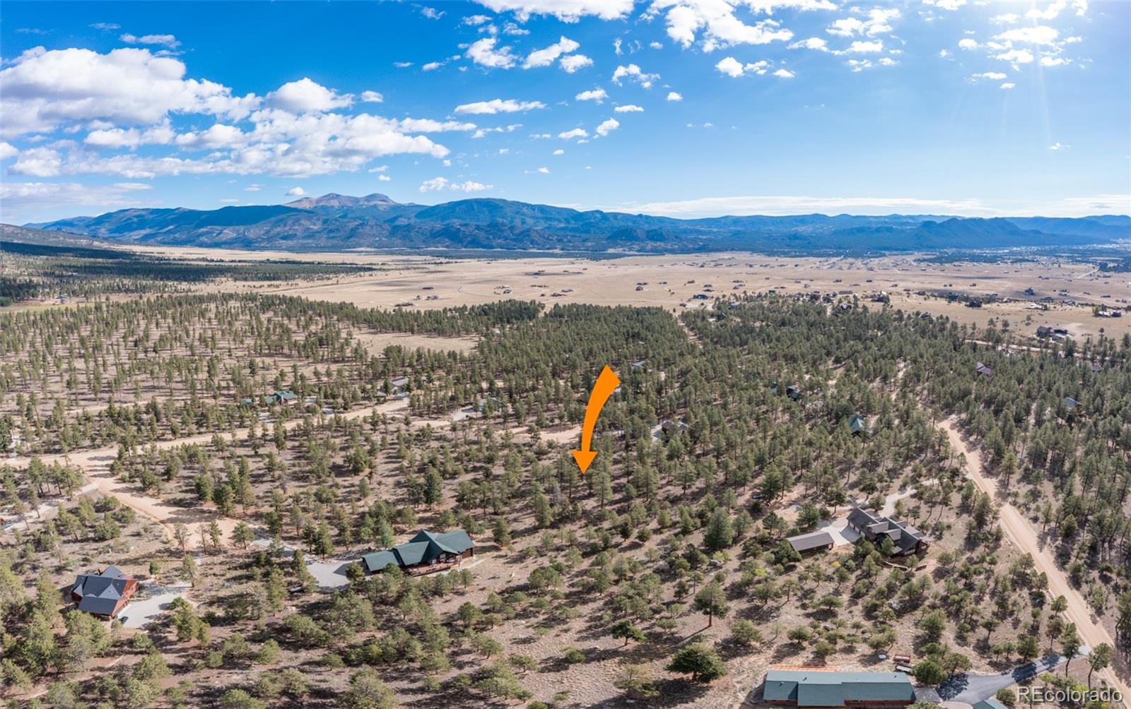 30664 Gray Jay Draw Buena Vista CO 81211