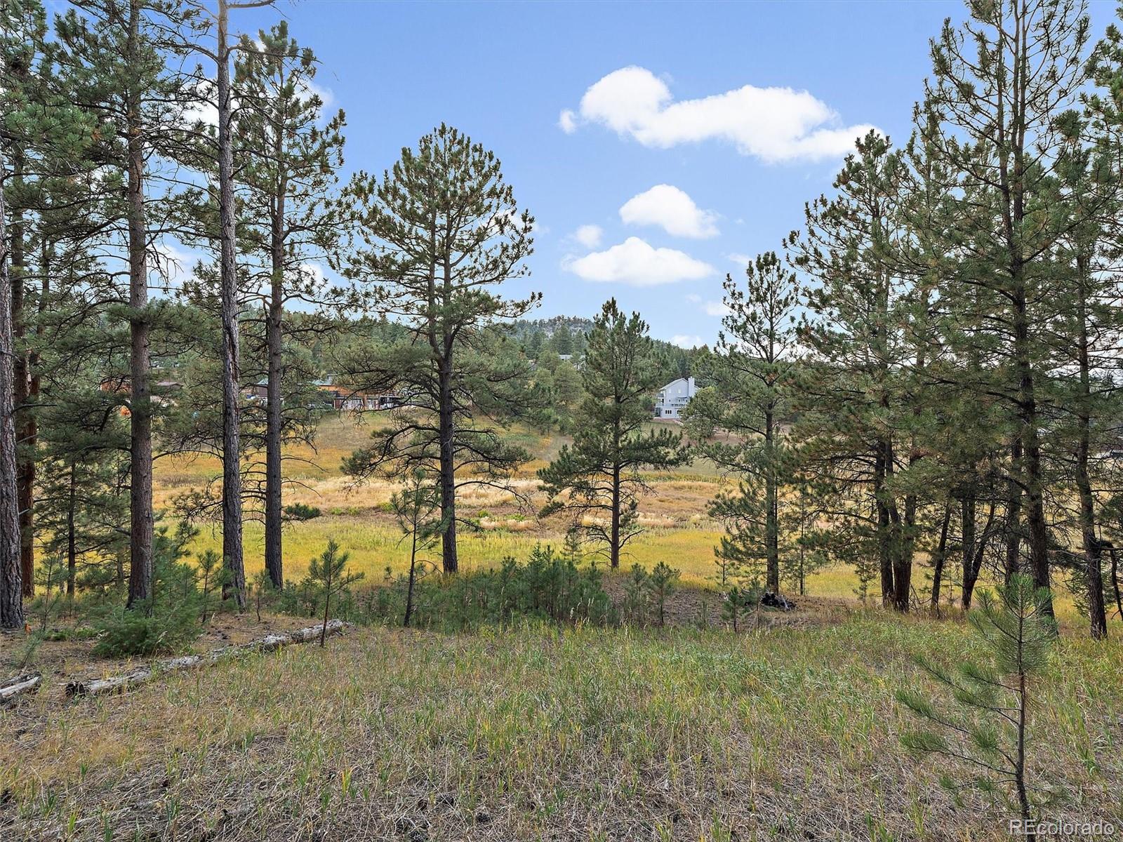 00 Cragmont Evergreen CO 80439