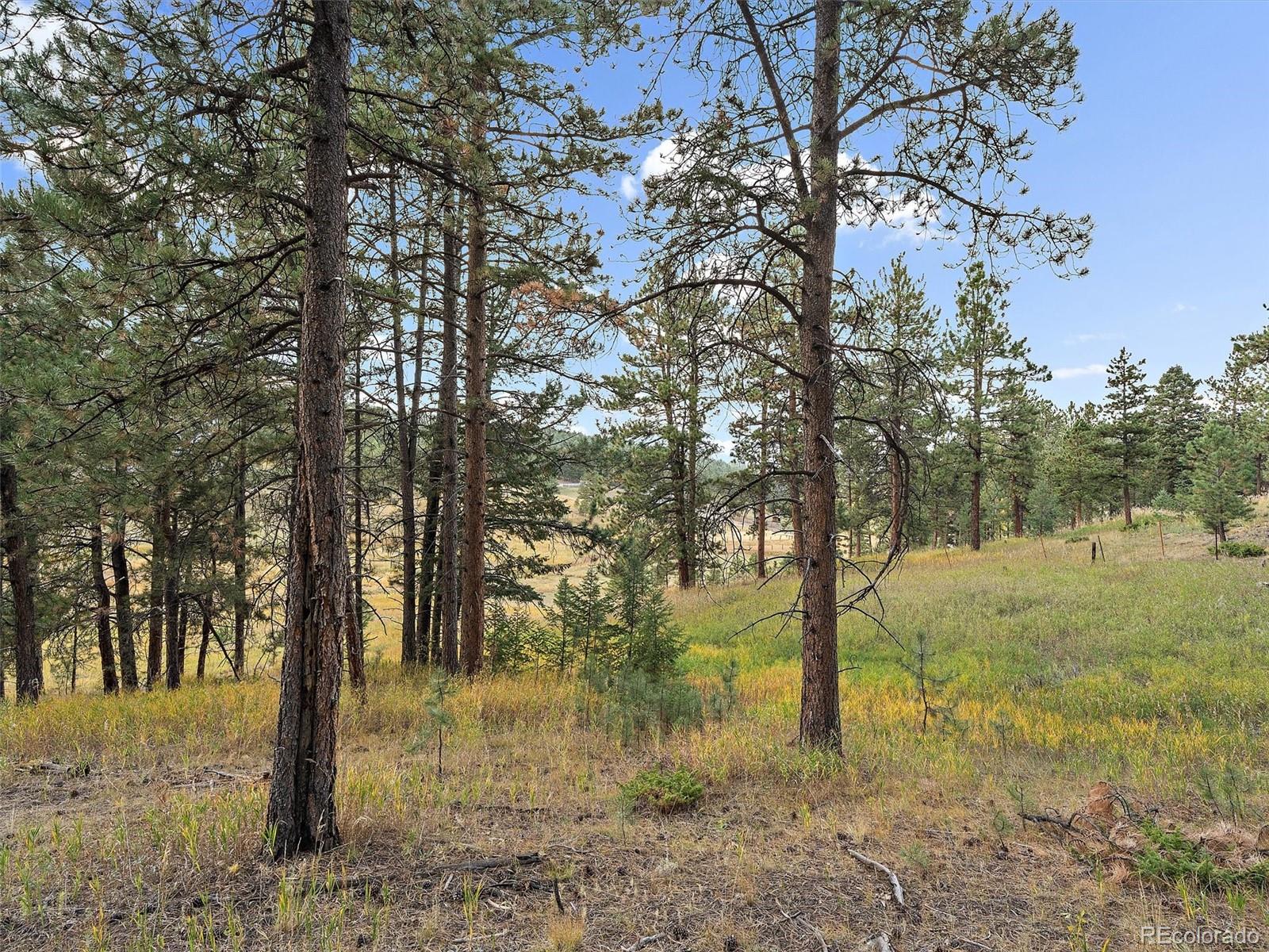00 Cragmont Evergreen CO 80439