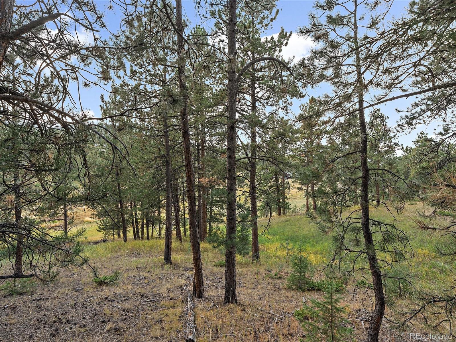 00 Cragmont Evergreen CO 80439