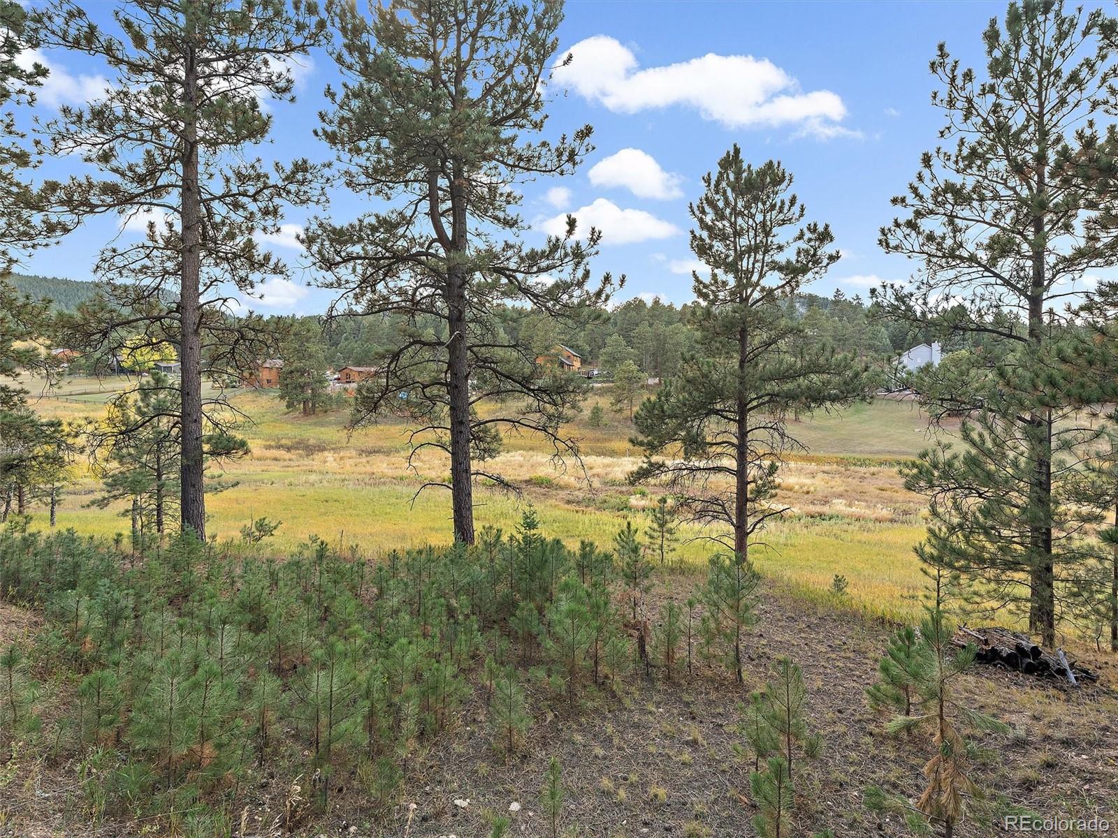 00 Cragmont Evergreen CO 80439
