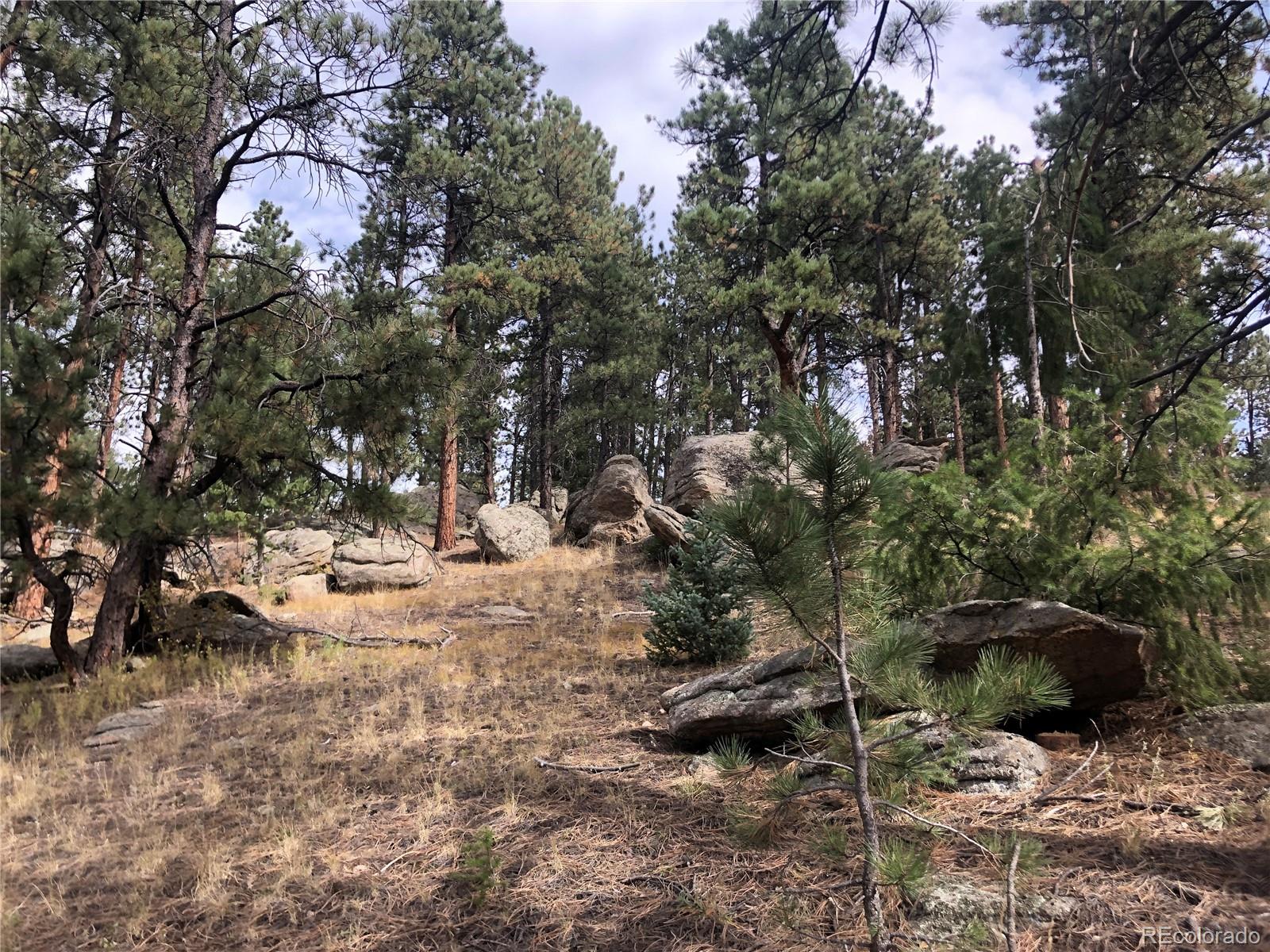00 Cragmont Evergreen CO 80439