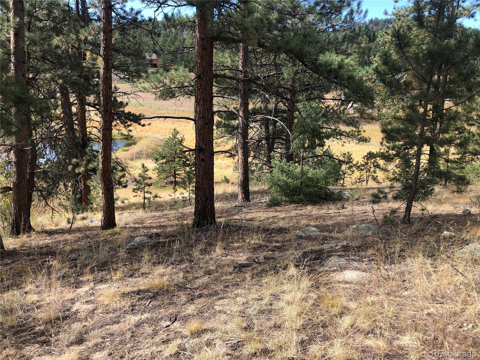 00 Cragmont Evergreen CO 80439