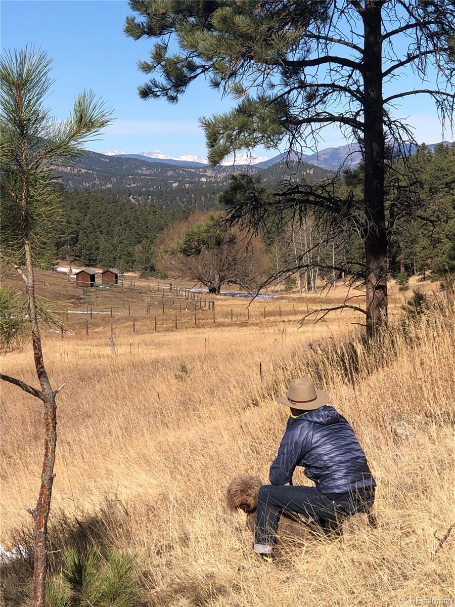00 Cragmont Evergreen CO 80439