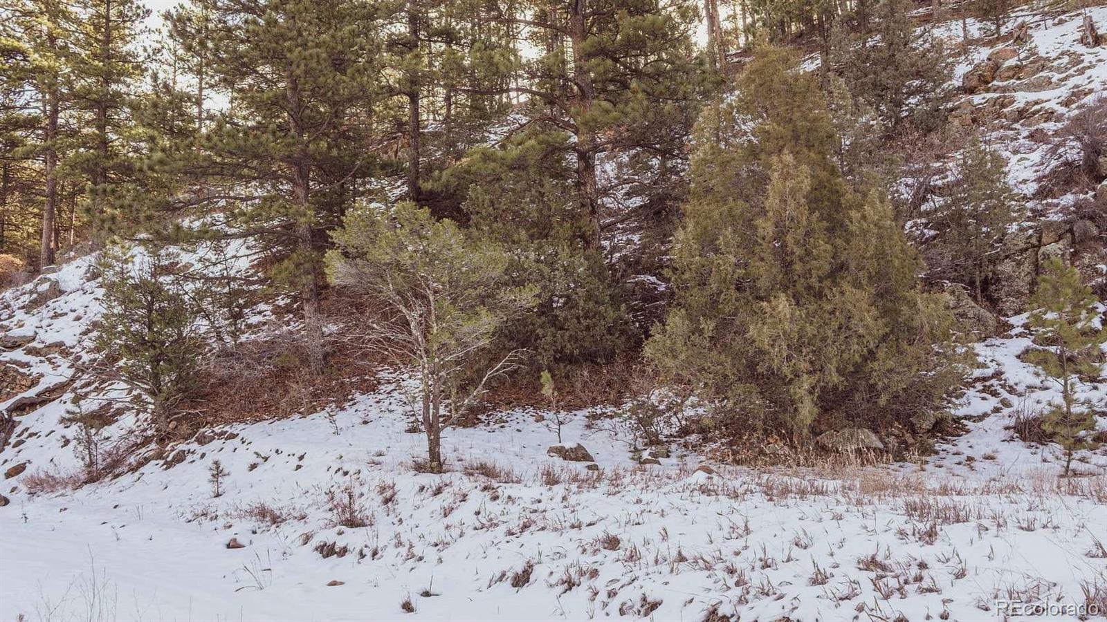 Gulch Road Cotopaxi CO 81223