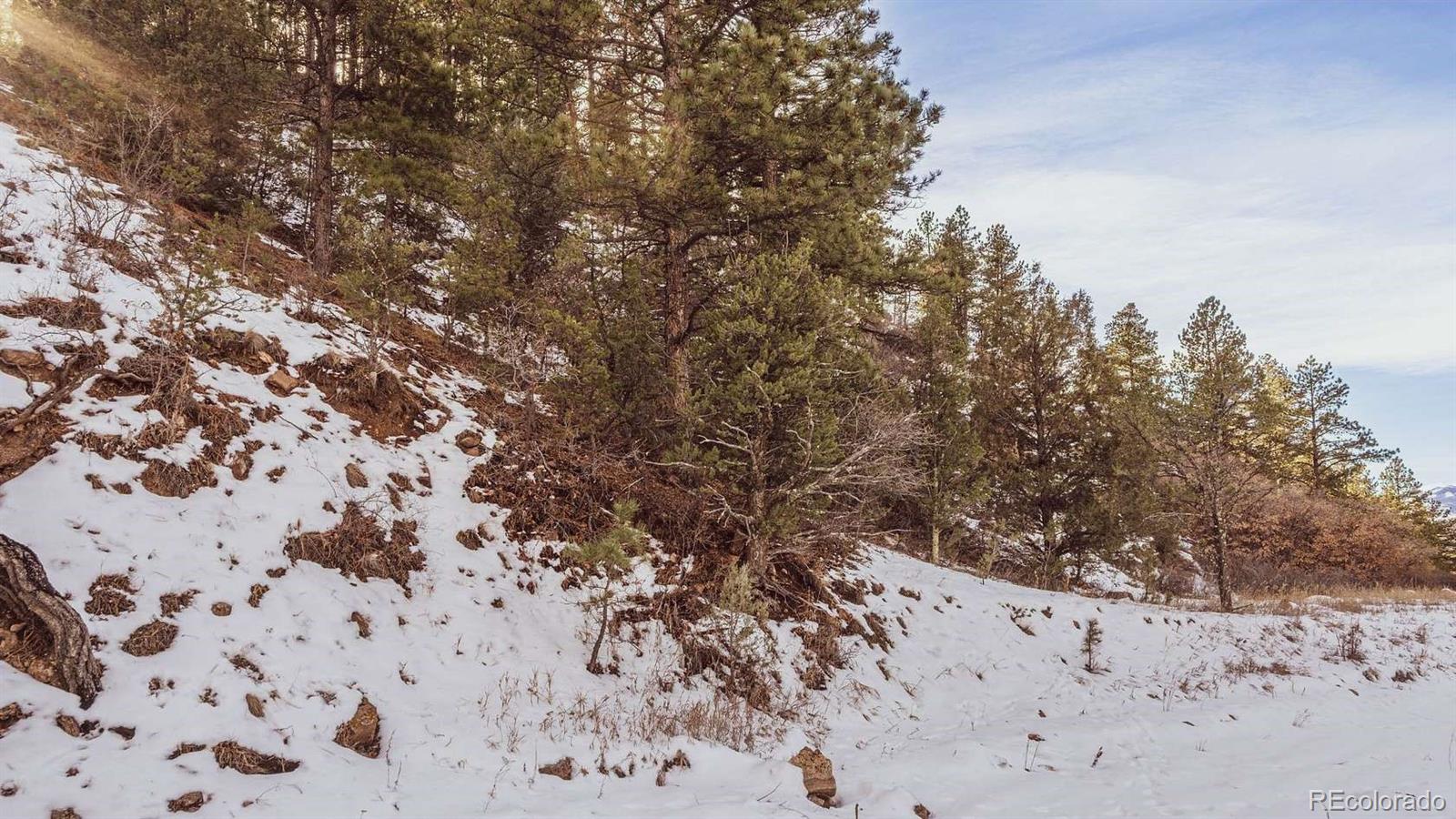 Gulch Road Cotopaxi CO 81223