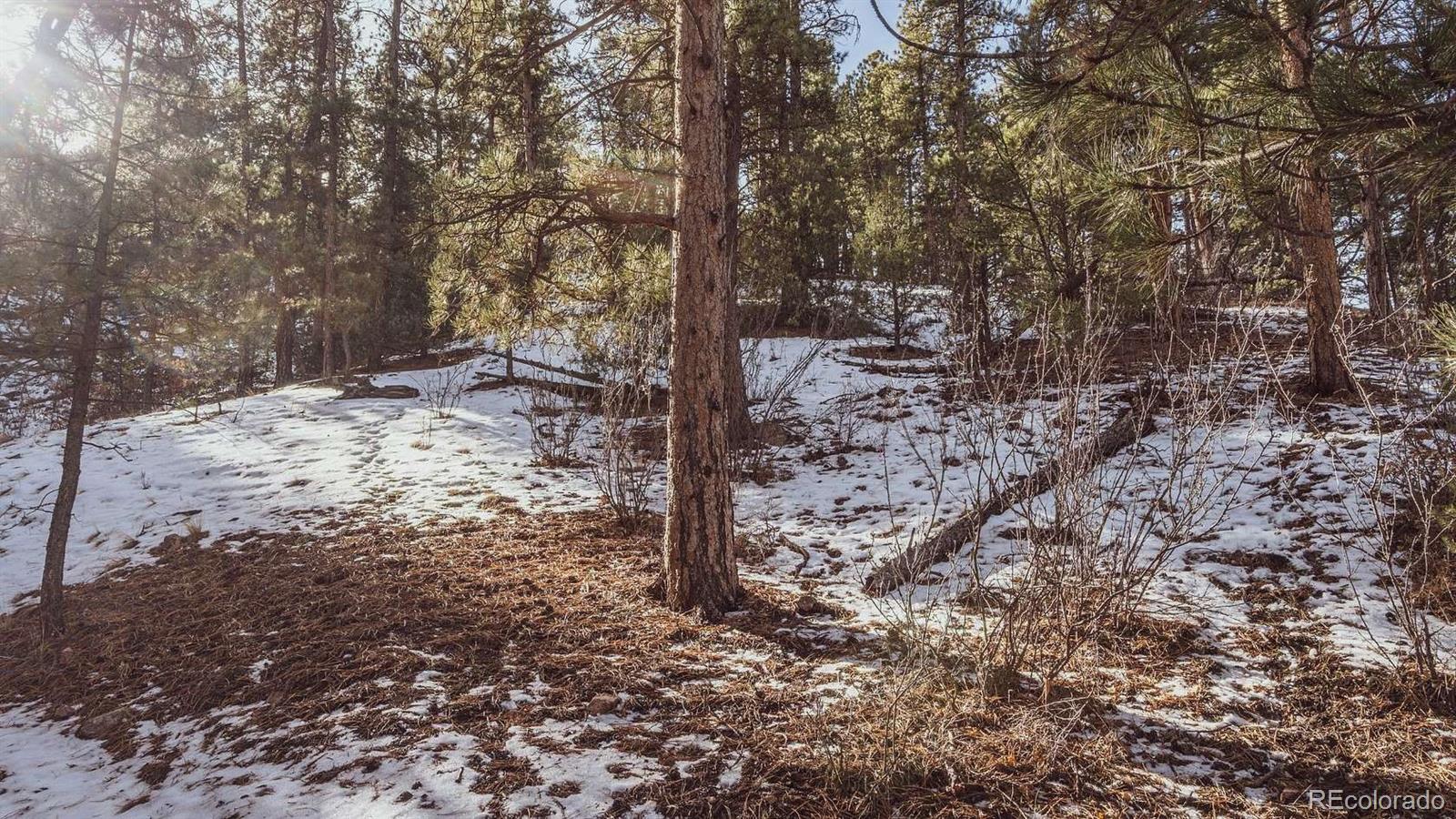Gulch Road Cotopaxi CO 81223