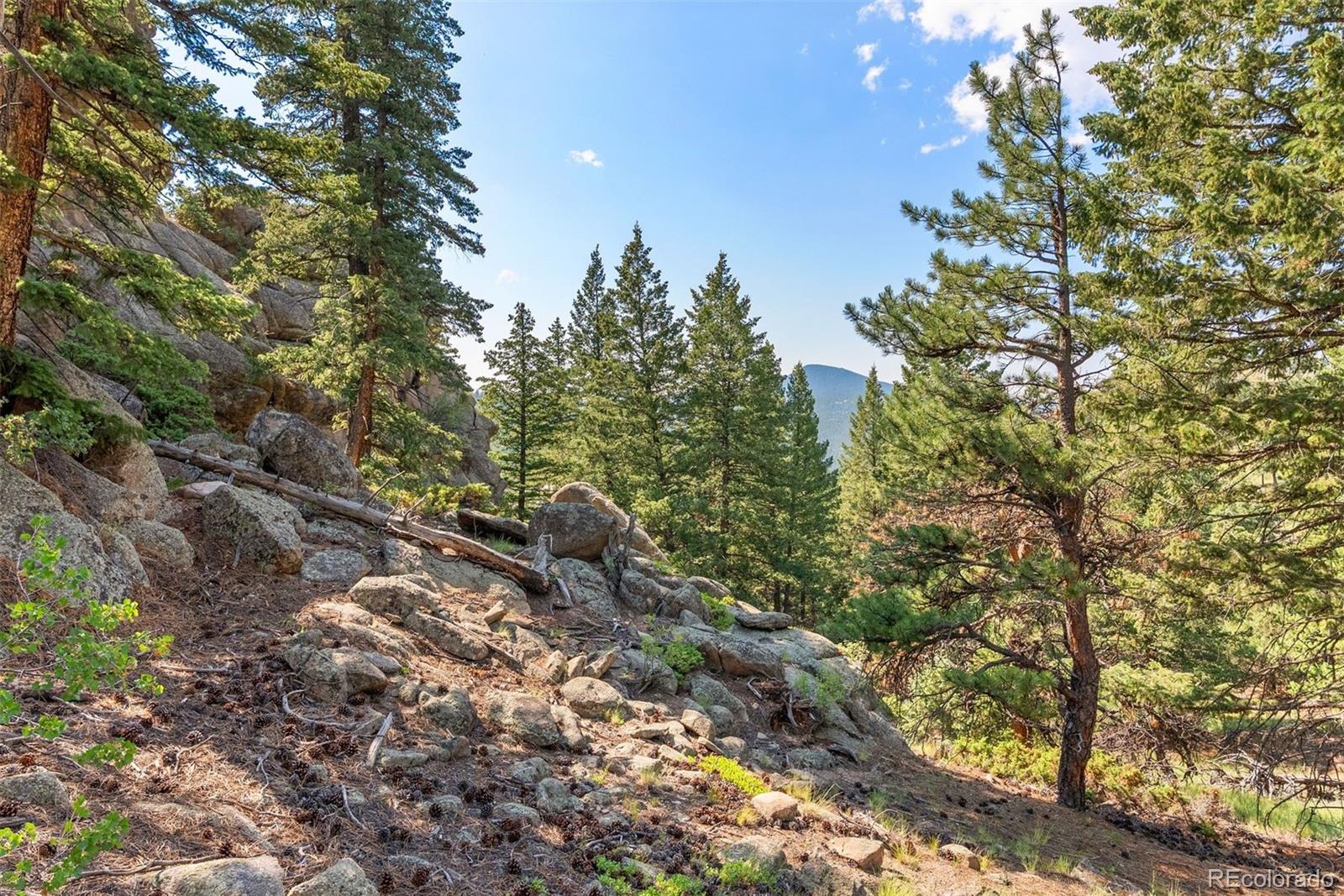 6371 Canyon Creek Road Evergreen CO 80439