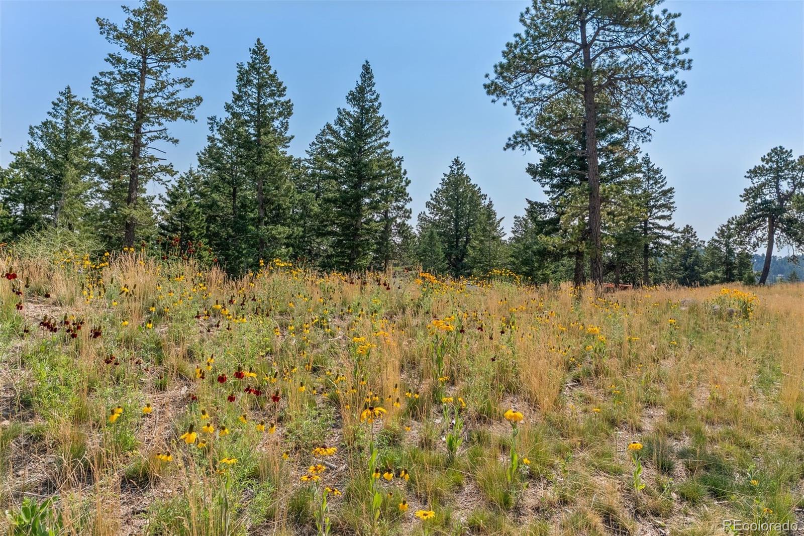 6371 Canyon Creek Road Evergreen CO 80439