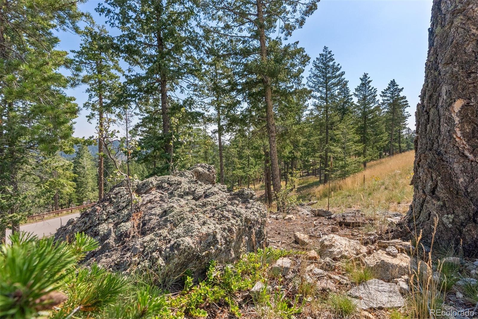 6371 Canyon Creek Road Evergreen CO 80439