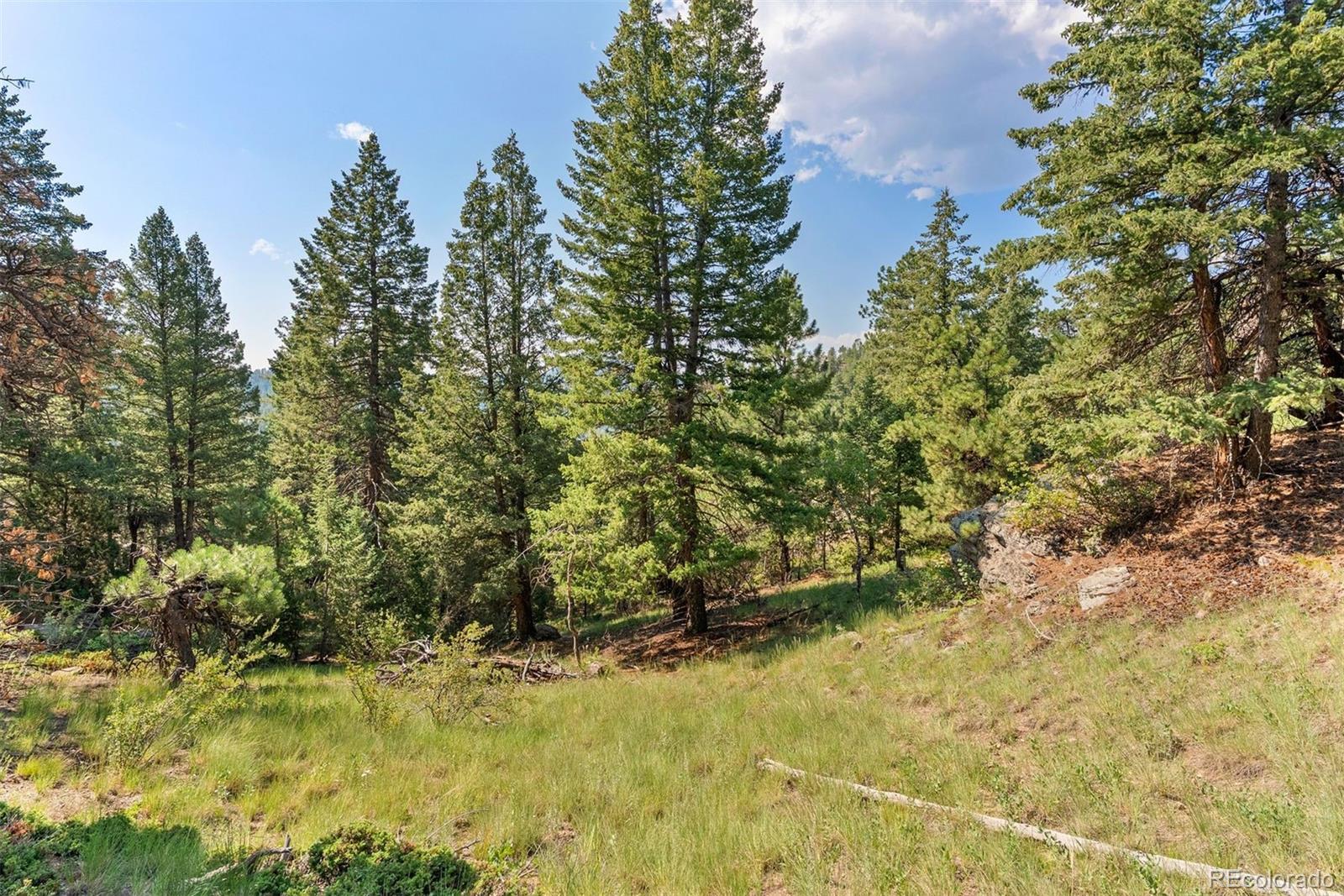 6371 Canyon Creek Road Evergreen CO 80439