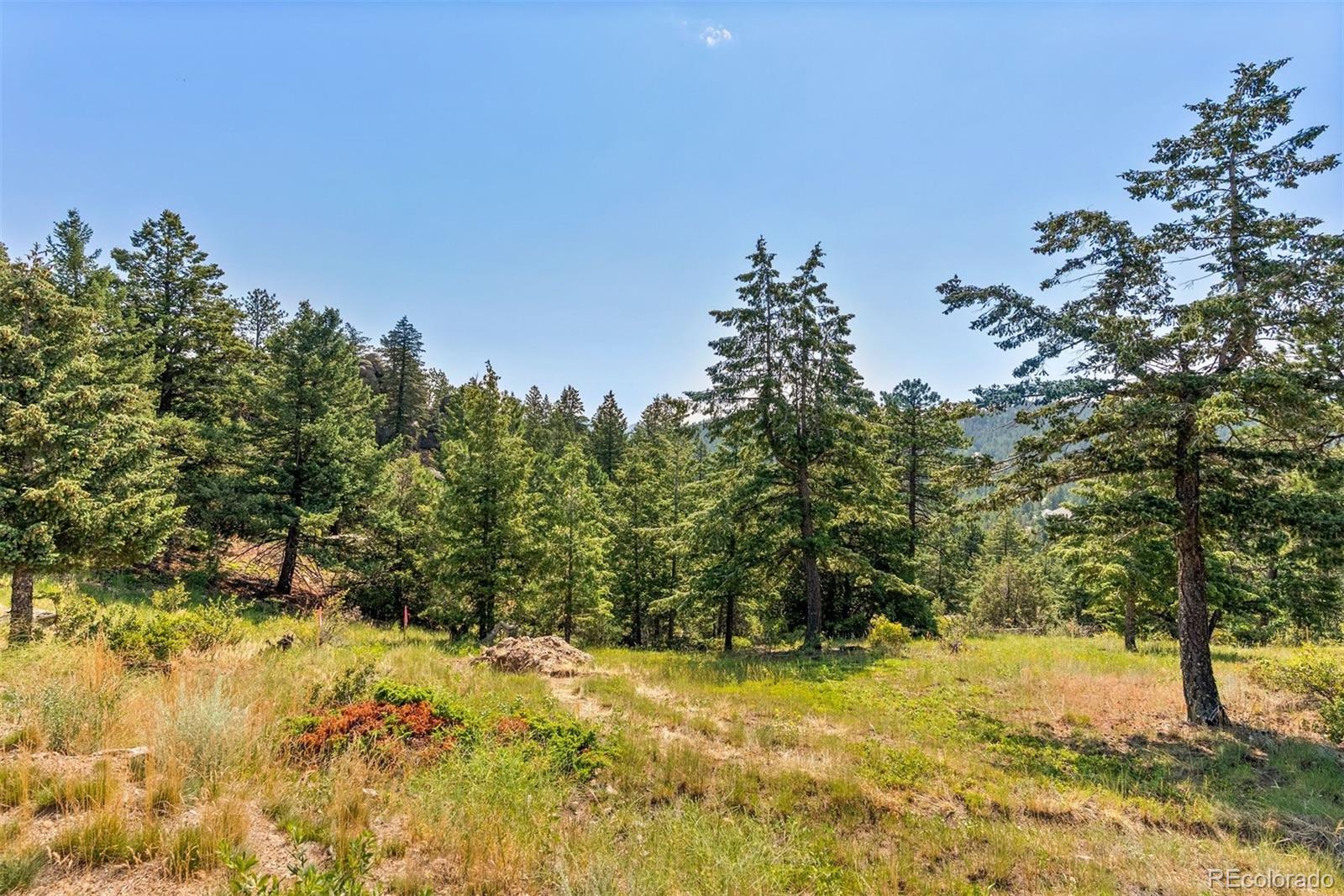 6371 Canyon Creek Road Evergreen CO 80439