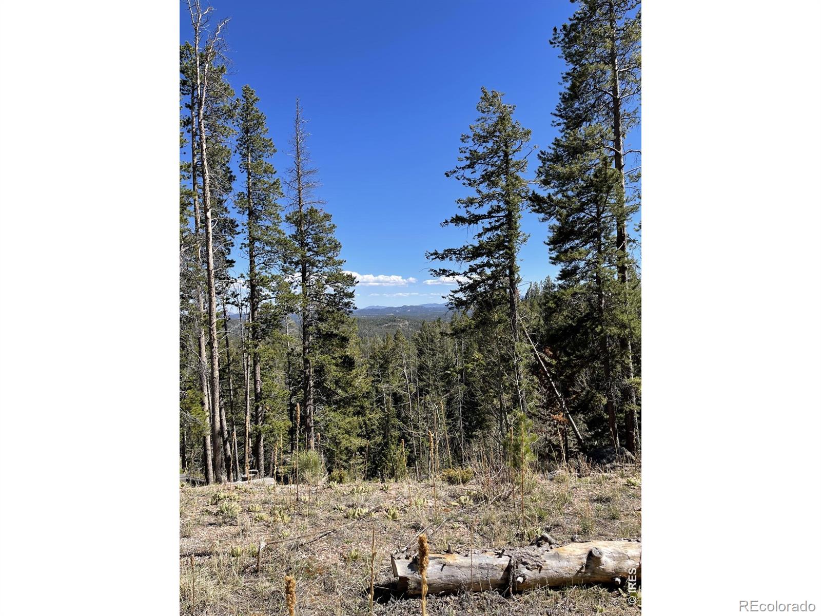 66 Piegan Court Red Feather Lakes CO 80545