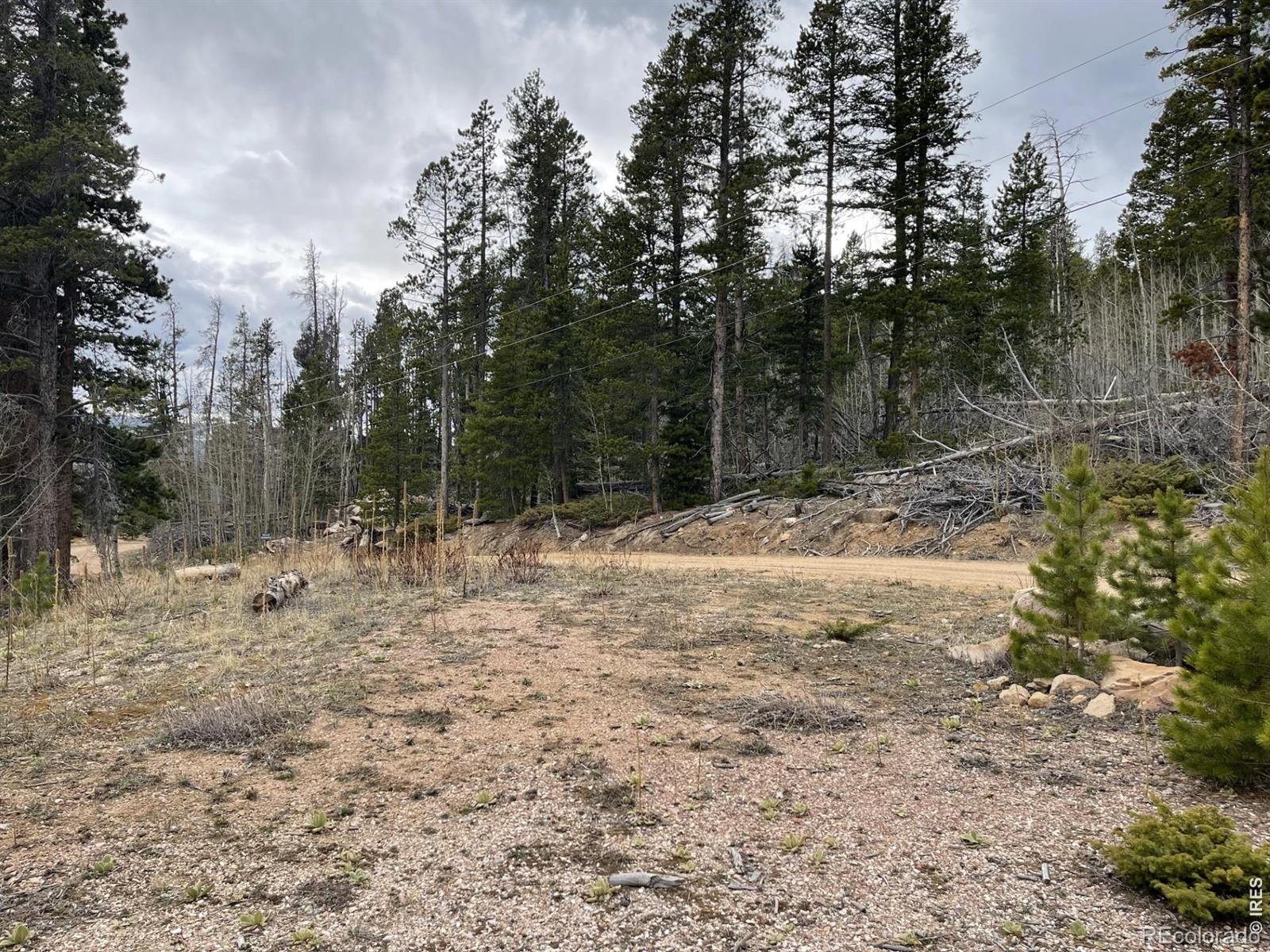 66 Piegan Court Red Feather Lakes CO 80545