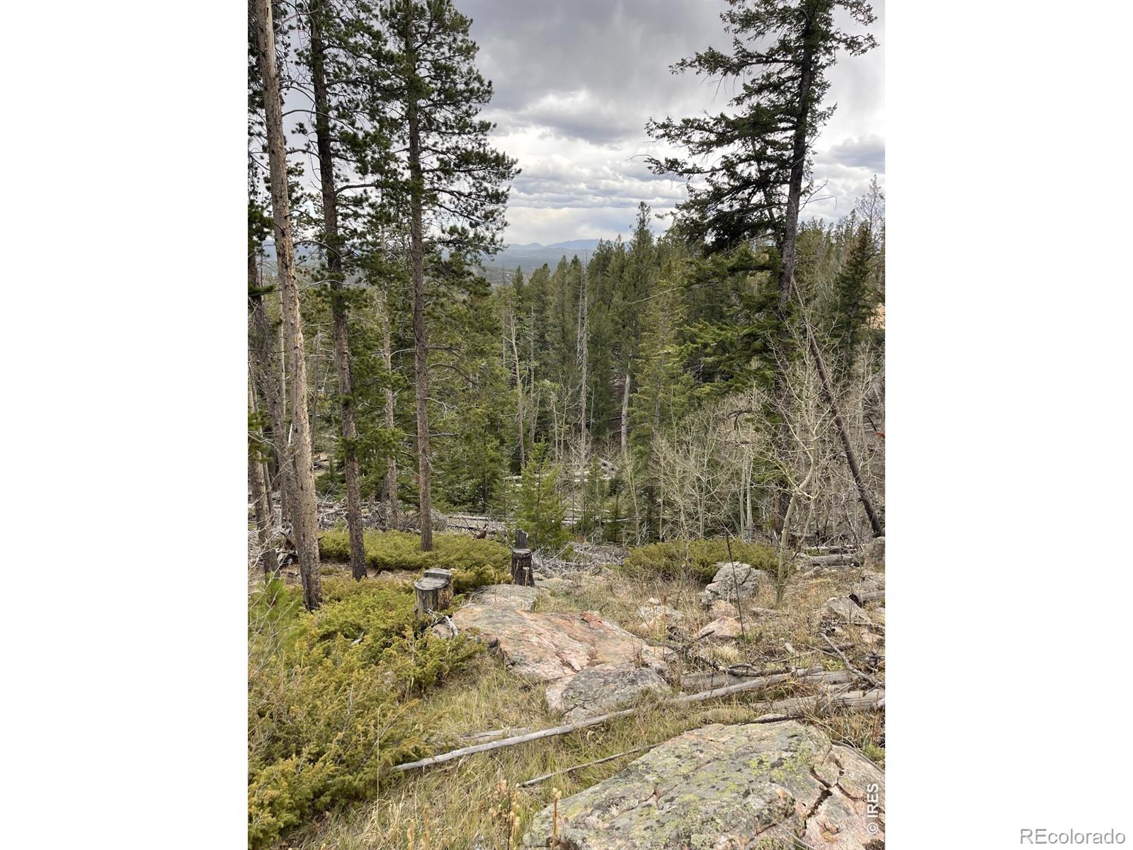 66 Piegan Court Red Feather Lakes CO 80545