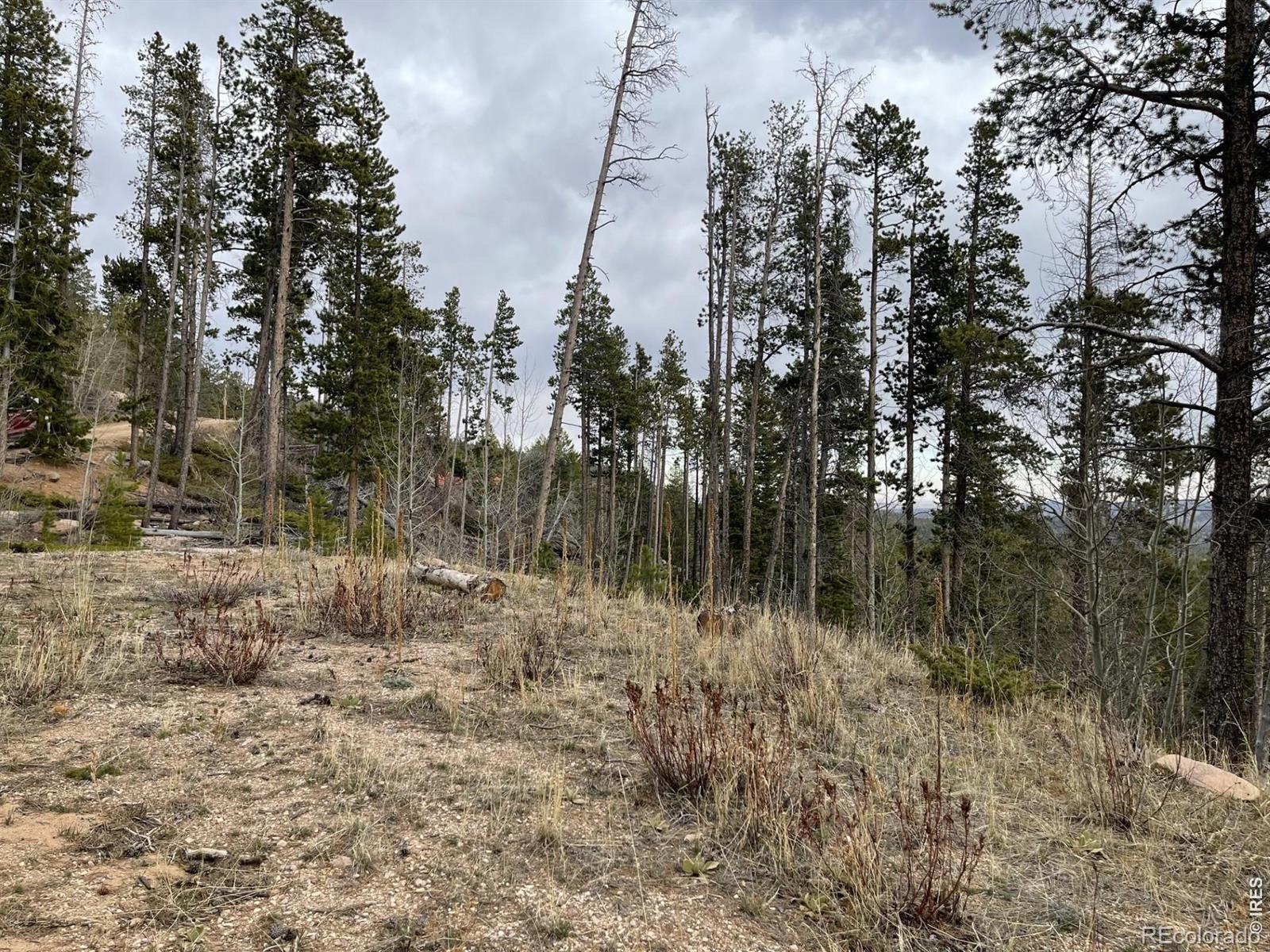 66 Piegan Court Red Feather Lakes CO 80545