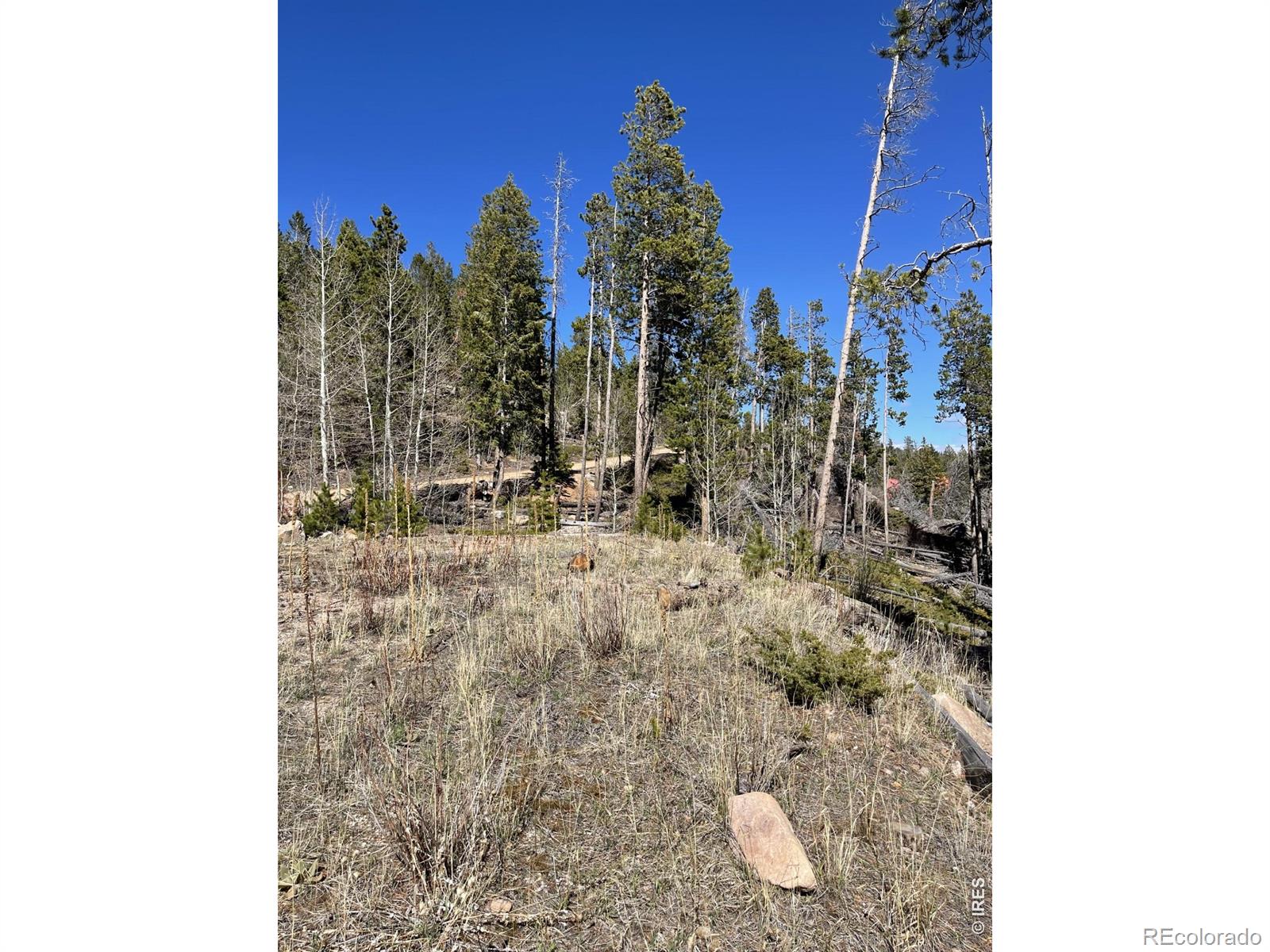 66 Piegan Court Red Feather Lakes CO 80545