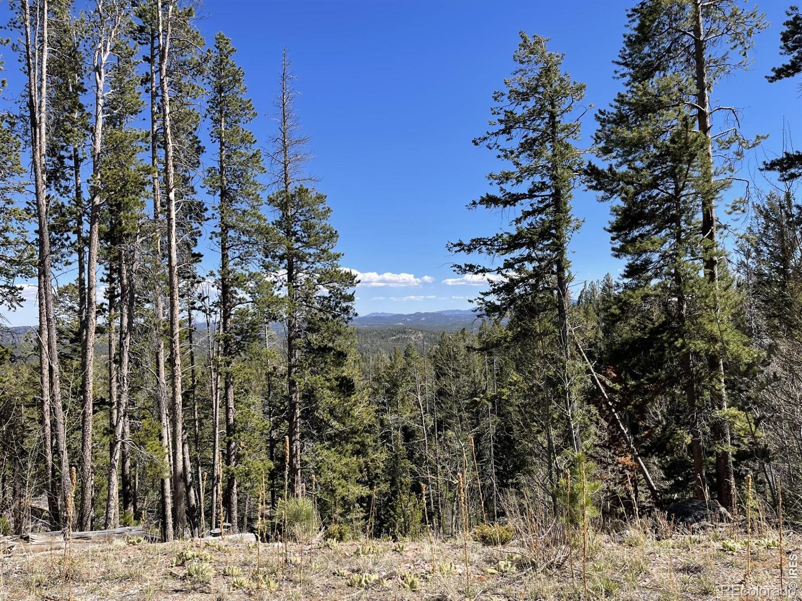 66 Piegan Court Red Feather Lakes CO 80545